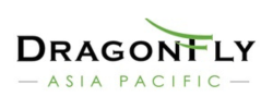 Dragon Fly Logo